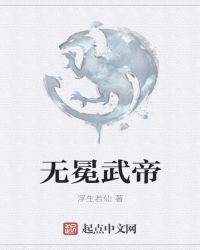 无冕武帝封面