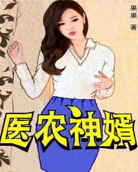 医农神婿封面