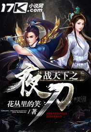 战天下之夜刀封面