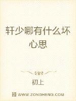 轩少哪有什么坏心思封面