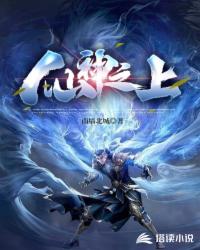 仙神之上封面