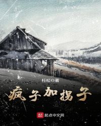 疯子加拐子封面