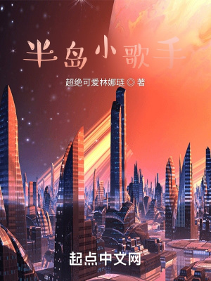 半岛小歌手封面