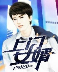 上门女婿封面