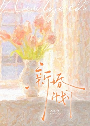 新婚计划封面