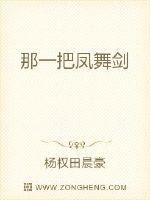 那一把凤舞剑封面