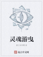 灵魂游曳封面