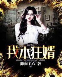 苏合林听雪封面