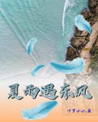 夏雨遇东风封面