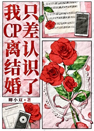 我CP离结婚只差认识了[娱乐圈]封面