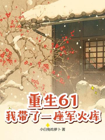 重生61，我带了一座军火库封面