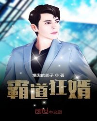 霸道狂婿封面