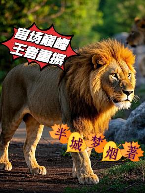 官场巅峰王者重振封面