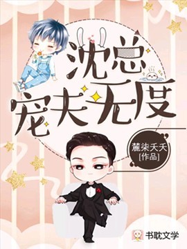 沈总宠夫无度封面