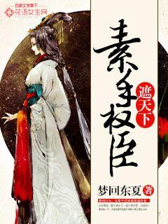 素手权臣遮天下封面