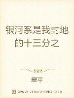银河系我封地的十三分之一封面