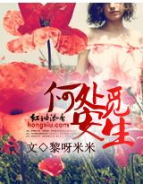 何处觅安生封面