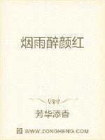 烟雨醉颜红封面
