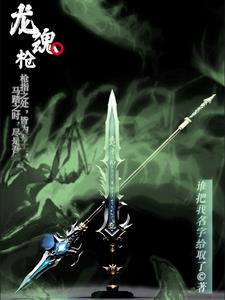 龙魂枪封面