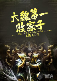大魏第一败家子封面