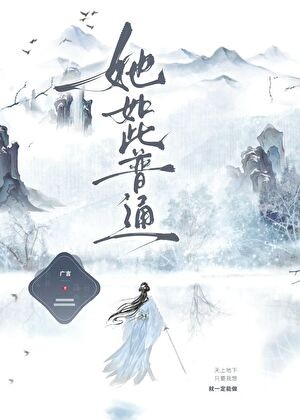 她如此普通封面