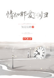 情在哪爱何归封面