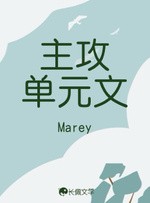 主攻单元文封面