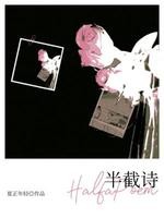半截诗封面