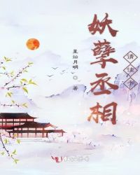 妖孽丞相请住手封面