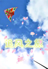 追风之旅封面