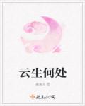 云生何处封面