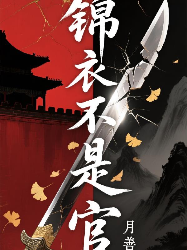 锦衣不是官封面