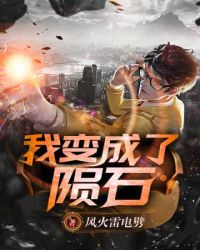 我变成了陨石封面