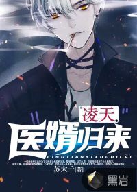 凌天医婿归来封面