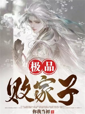 极品败家子封面