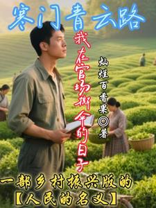寒门青云路：我在官场撕伞的日子封面