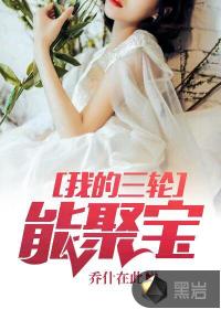 我的三轮能聚宝封面