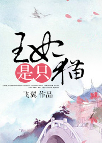 王妃是只猫封面