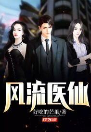 风流医仙封面