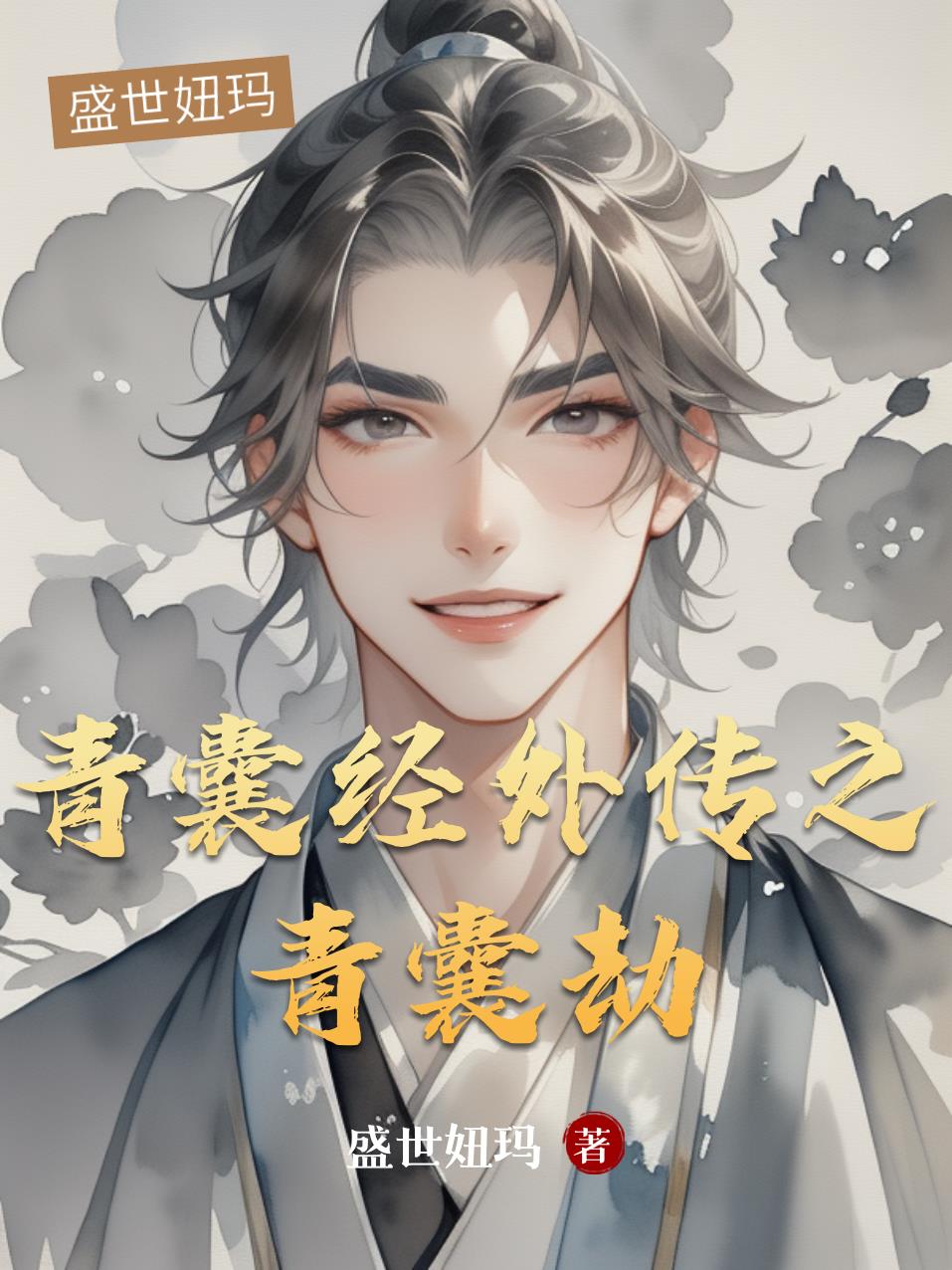 青囊经外传之青囊劫封面