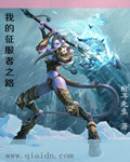 我的征服者之路封面