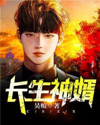 长生神婿封面