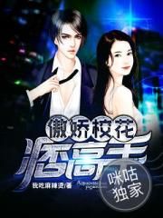 傲娇校花痞高手封面