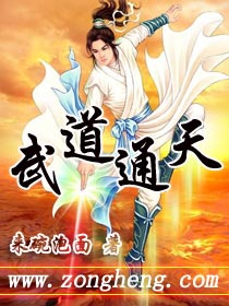 武道通天封面