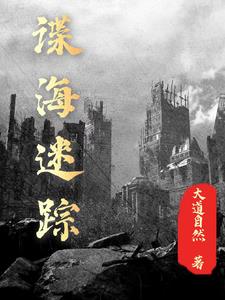 谍锁连环：沉渊封面