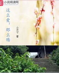 这么爱，那么殇封面
