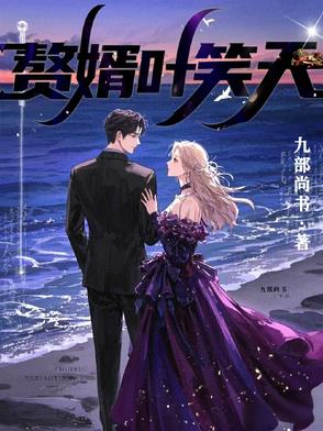 赘婿叶笑天封面