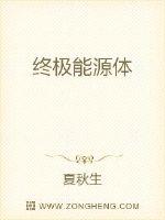 终极能源体封面