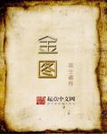 金图封面