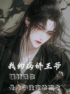 我的病娇王爷封面